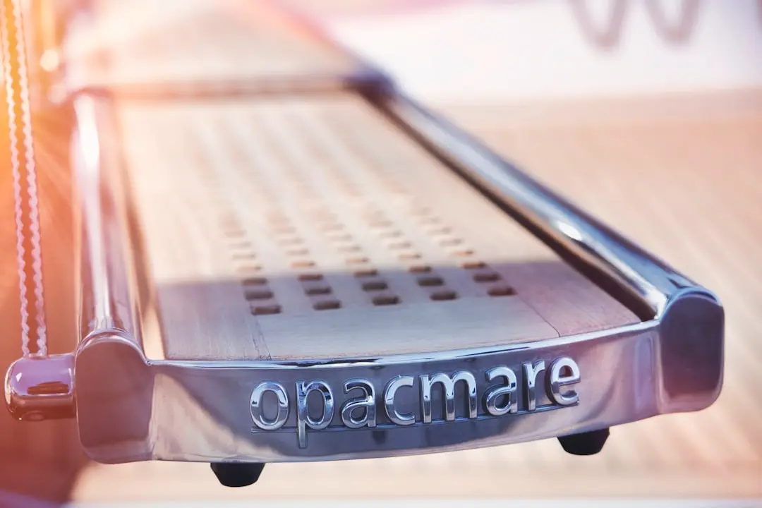 Pacemaker uppfinnare illustration